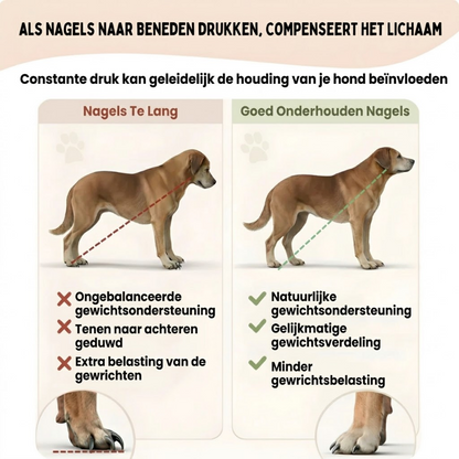 Nagelvijl Plank | Krab plank voor Honden – Stressvrij Nagels Vijlen Zonder Knippen