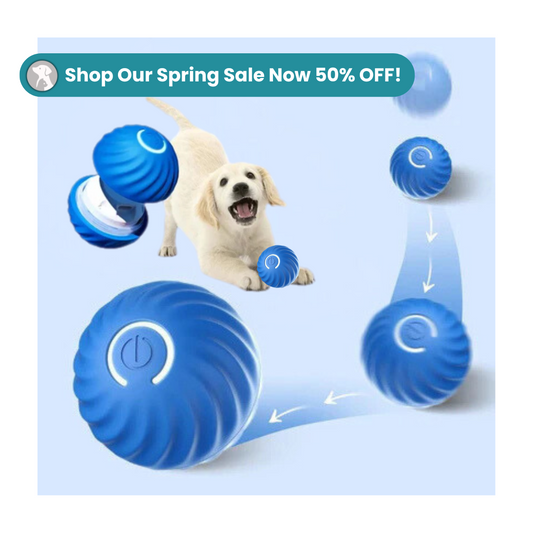 MrBarks Electric Dog Ball