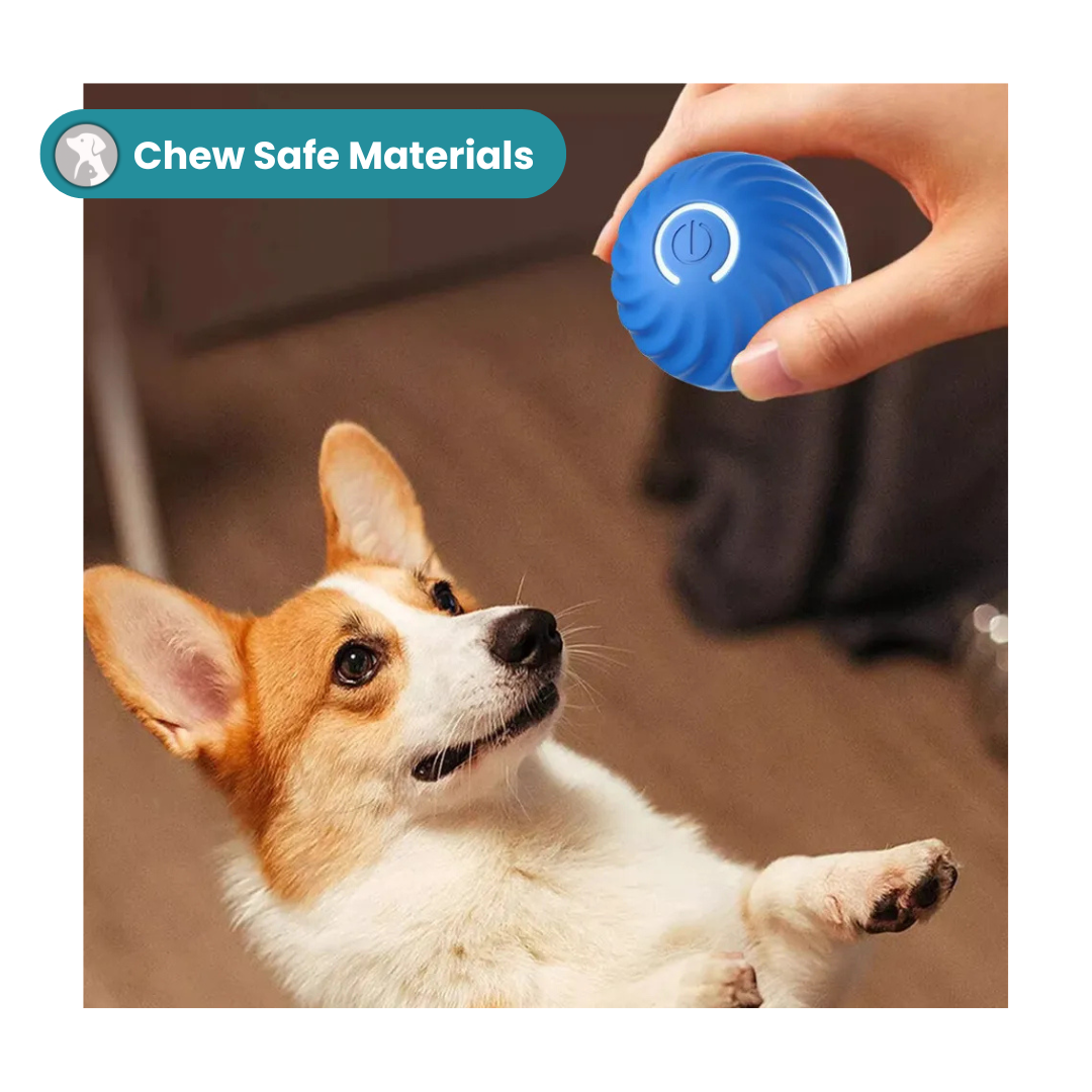 MrBarks Electric Dog Ball