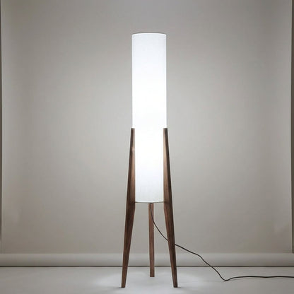 Ambient Living Room Light -  Havenara