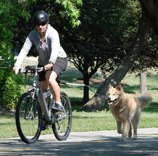 Bicycle Dog Leash with Elastic Shock Absorption – Durable Metal Attachment for Safe Rides 2