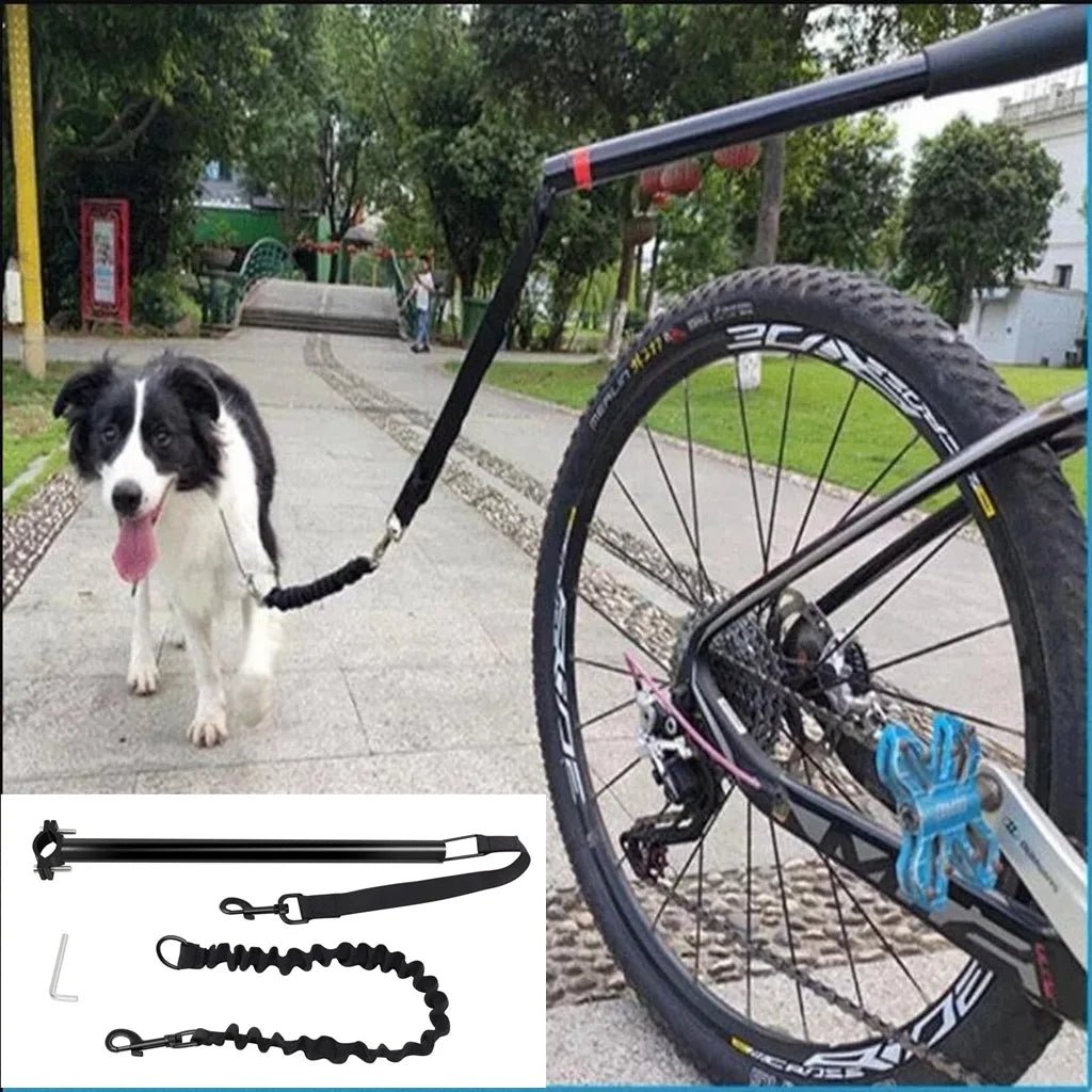 Bicycle Dog Leash with Elastic Shock Absorption – Durable Metal Attachment for Safe Rides 5