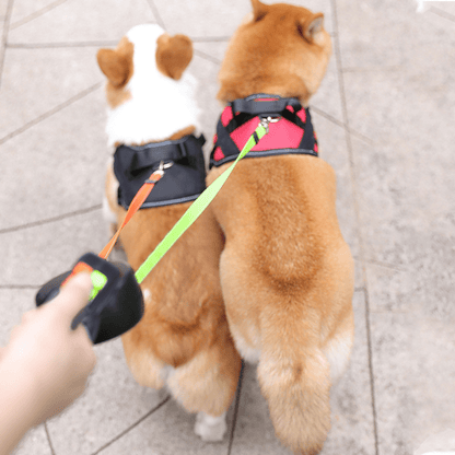 Dobbelt hundesnor uden knuder med lommelygte