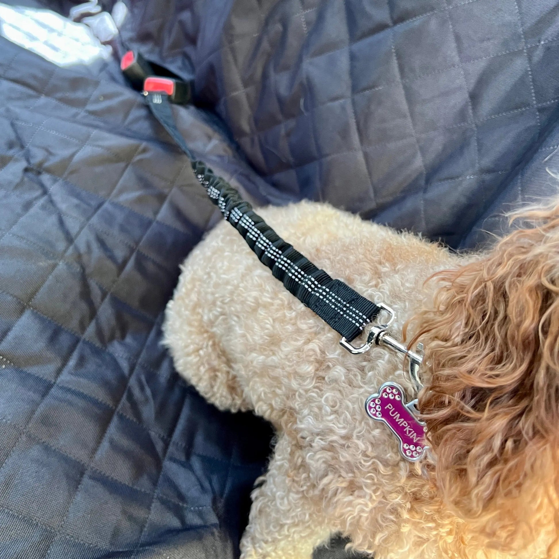 Pet Seat Belt Leash billede 15