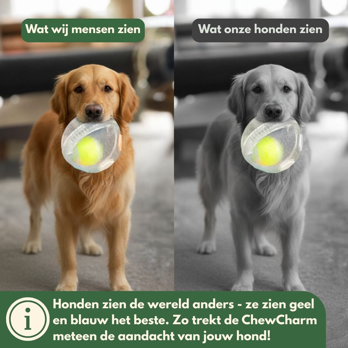 Norindo ChewCharm – Rust door natuurlijk kauwgedrag