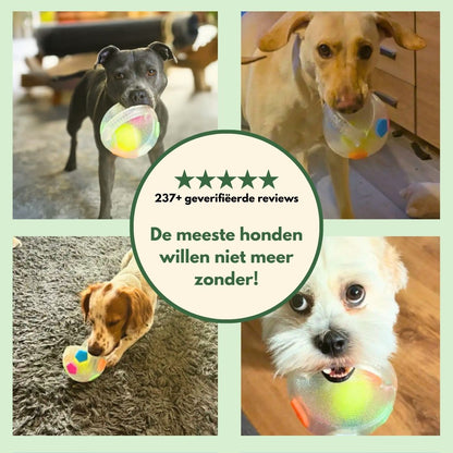 Norindo ChewCharm – Rust door natuurlijk kauwgedrag