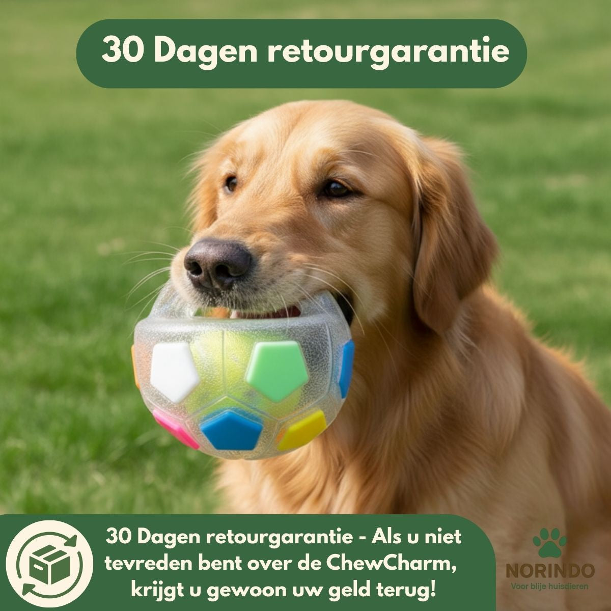 Norindo ChewCharm – Rust door natuurlijk kauwgedrag