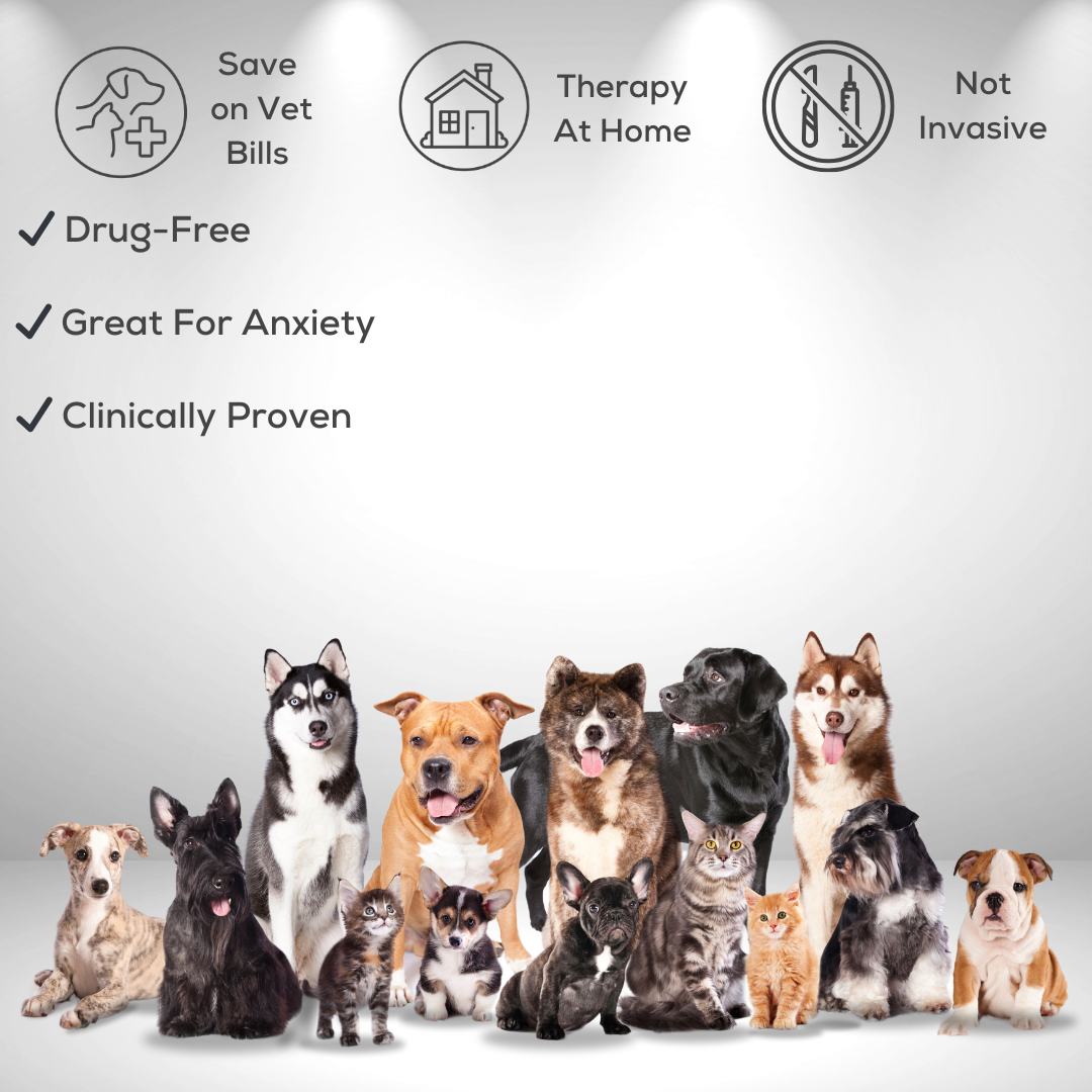 Panacea Health's Infrared Therapy System 60% Off Sale