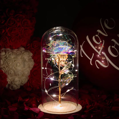 Homaro™ Rosa Luminosa em Cúpula