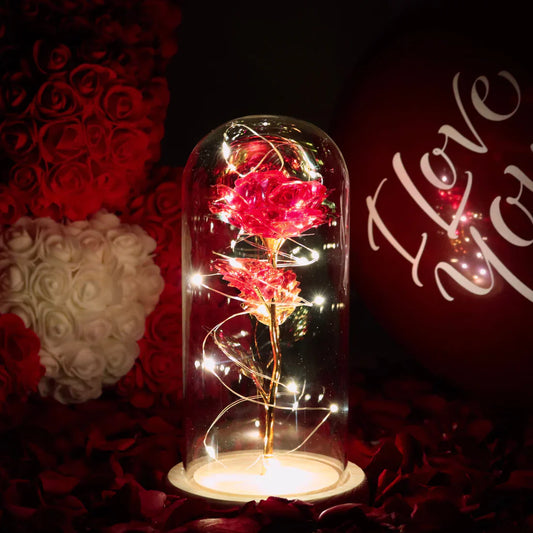 Homaro™ Rosa Luminosa em Cúpula