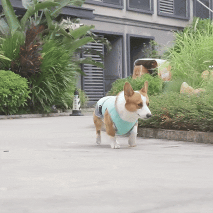 Quick-Dry Cooling Dog Vest | Reflective, Lightweight & Safe for Outdoor Use