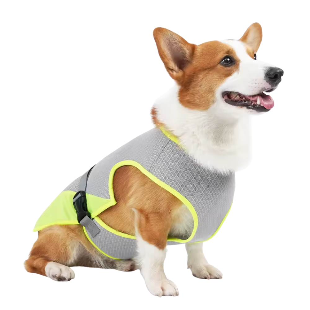 Quick-Dry Cooling Dog Vest | Reflective, Lightweight & Safe for Outdoor Use