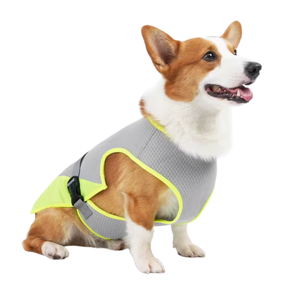Quick-Dry Cooling Dog Vest | Reflective, Lightweight & Safe for Outdoor Use