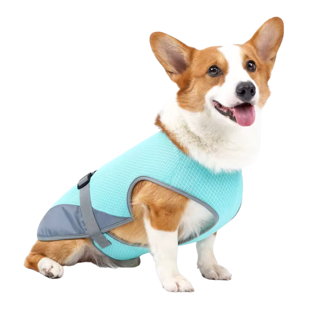 Quick-Dry Cooling Dog Vest | Reflective, Lightweight & Safe for Outdoor Use
