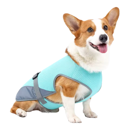 Quick-Dry Cooling Dog Vest | Reflective, Lightweight & Safe for Outdoor Use