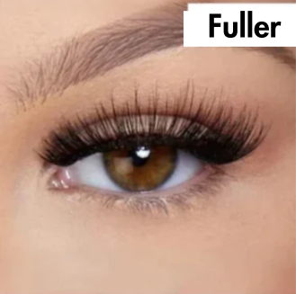 Lanneve™ Magnetic Lashes