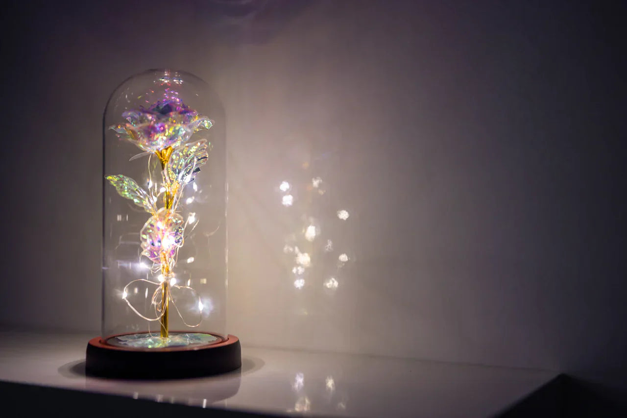 Homaro™ Rosa Luminosa em Cúpula
