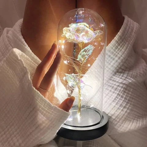 Homaro™ Rosa Luminosa em Cúpula