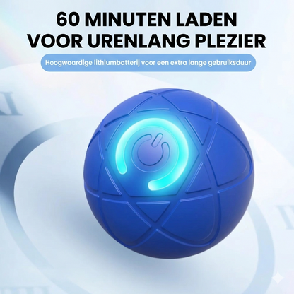 Hund leger med BounceGlow lysende bold