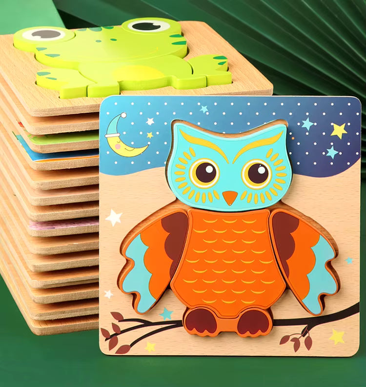 Houten 3D Puzzelset – 5 stuks