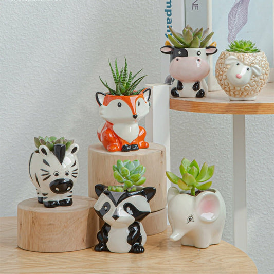 FaunaMini | Creatieve Dieren Bloempotjes – 6 Unieke Varianten – Voor Vetplanten & Cactussen