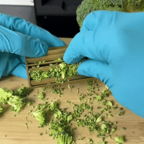 Lanneve Rollmaster™