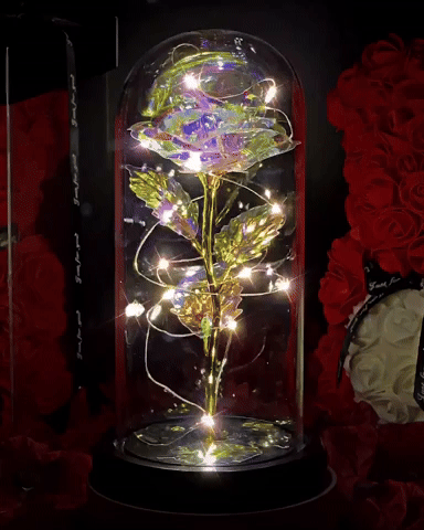 Homaro™ Rosa Luminosa em Cúpula