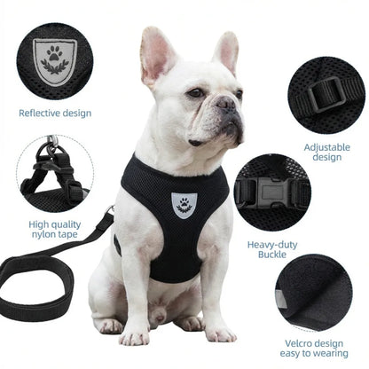 Collars & Leashes - Reflective Pet Harness & Leash Set