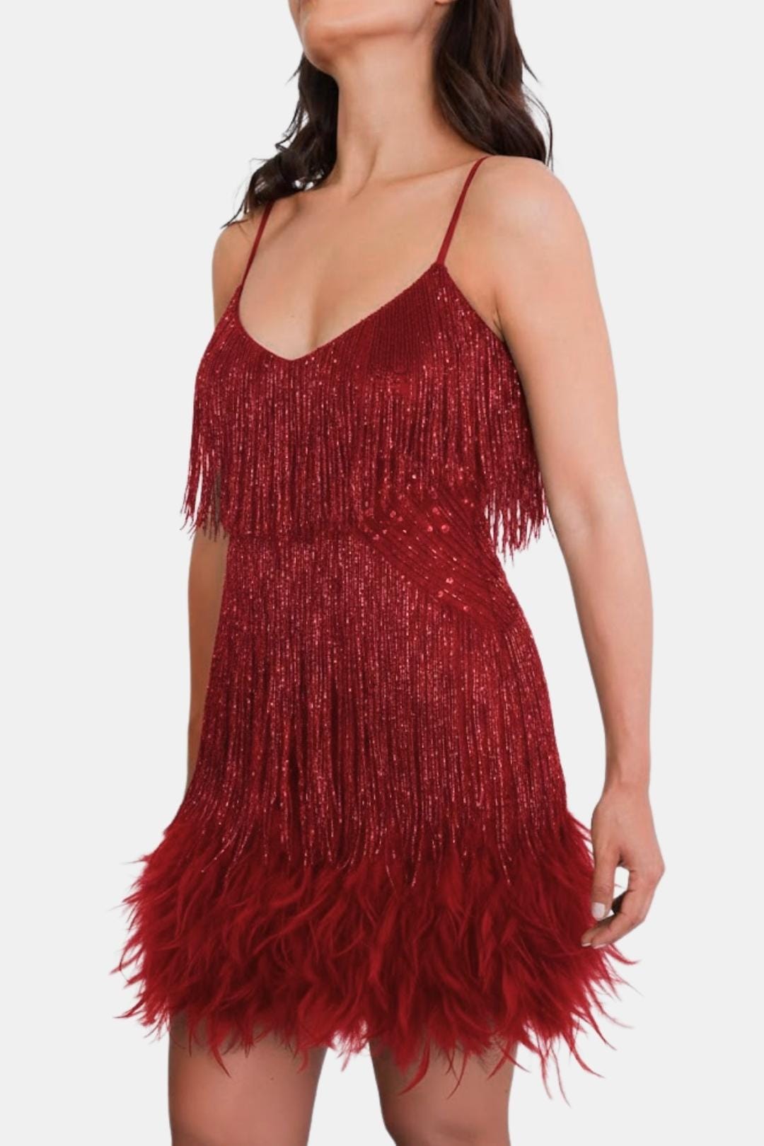 Jeena – Sequin Fringe Feather Party Dress