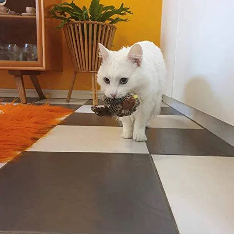 Kattenspeelgoed | Interactief kattenspeeltje met geluid