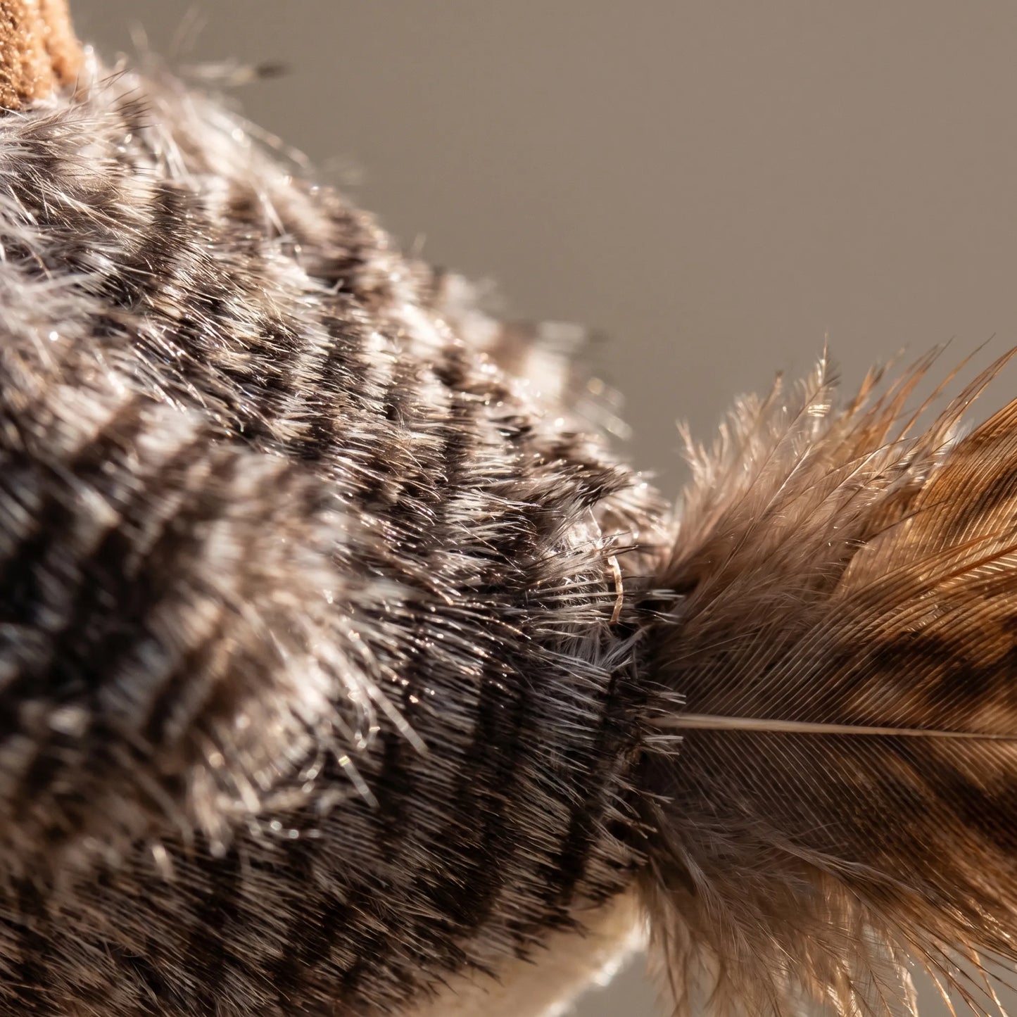 Kattenspeelgoed | Interactief kattenspeeltje met geluid