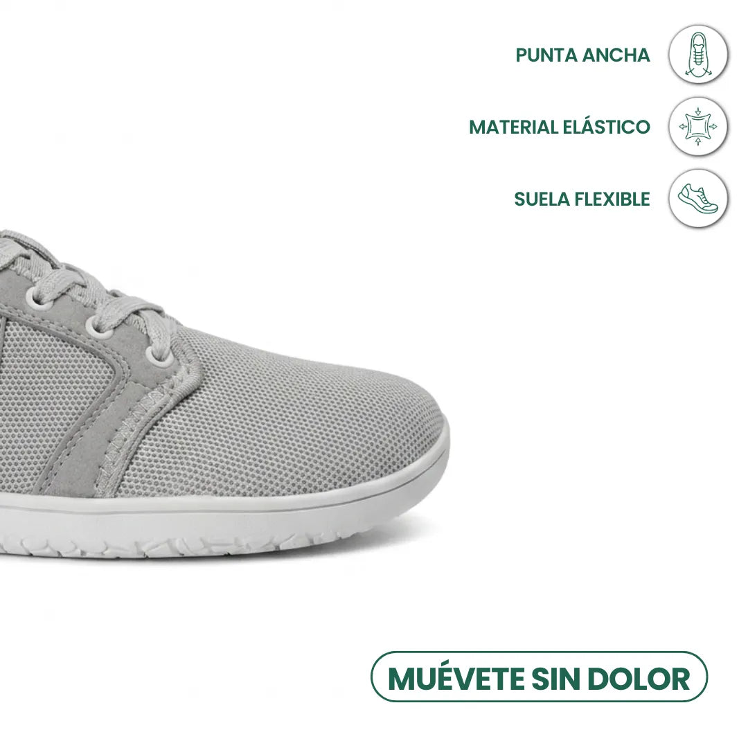 Gris