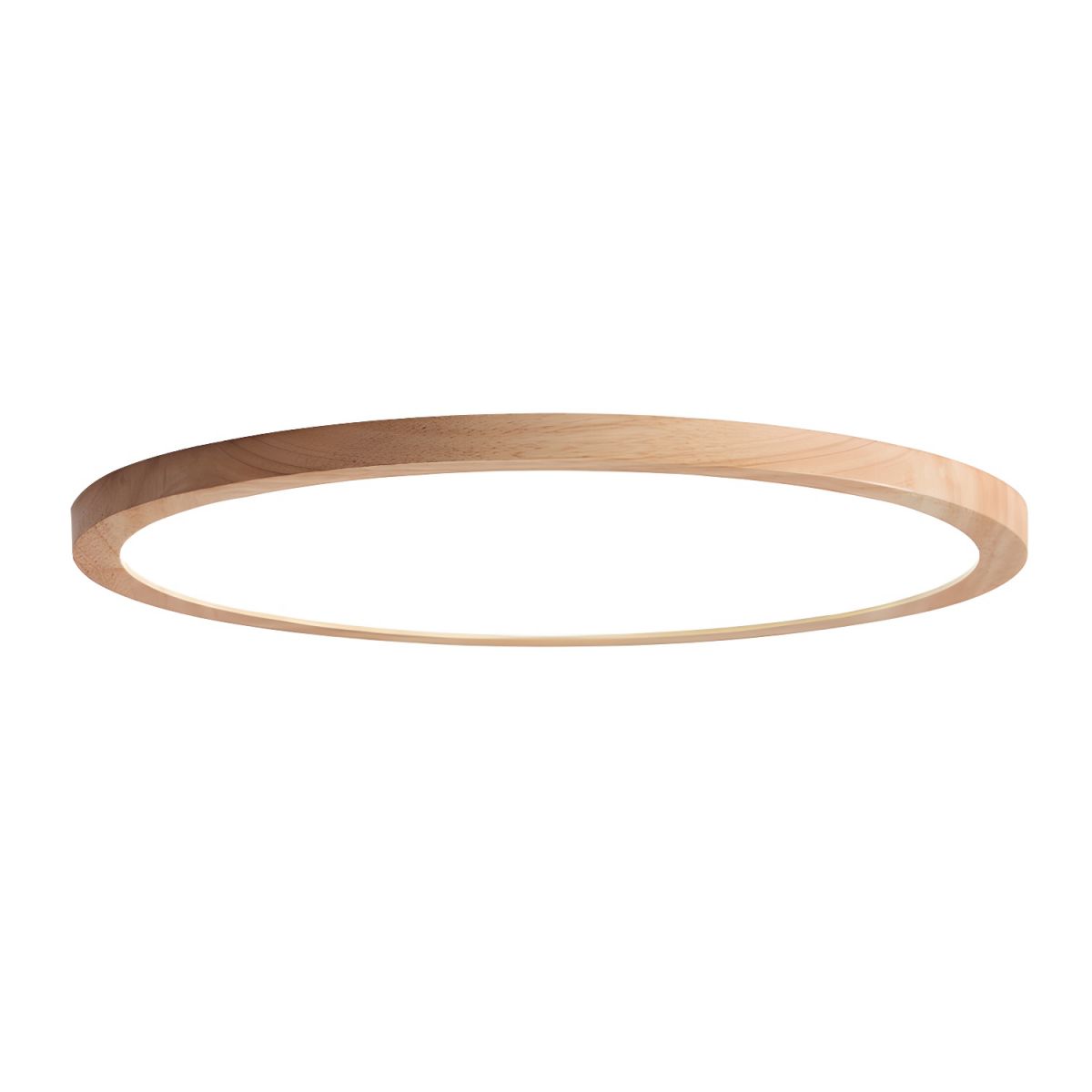 Modern LED Ceiling Light with Acrylic Shade | Luminexy