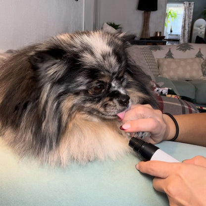 Low-Noise Rechargeable Pet Nail Grinder for Dogs & Cats