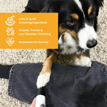 Low-Noise Rechargeable Pet Nail Grinder for Dogs & Cats