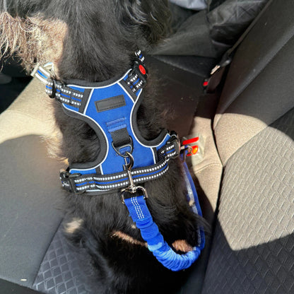 Montering af sikkerhedssele til hund i bil