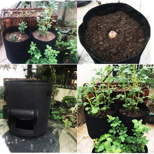 Pflanzsack | Atmungsaktiver Vliesstoff | Ernteklappe mit Klett | HarvestBag