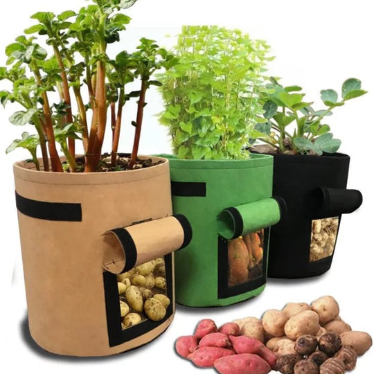 Pflanzsack | Atmungsaktiver Vliesstoff | Ernteklappe mit Klett | HarvestBag