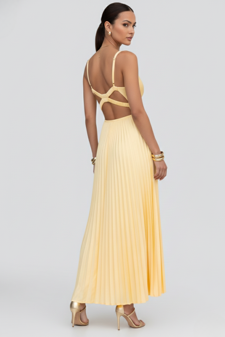 Women's V-Neck Pleated Skirt Maxi Dress