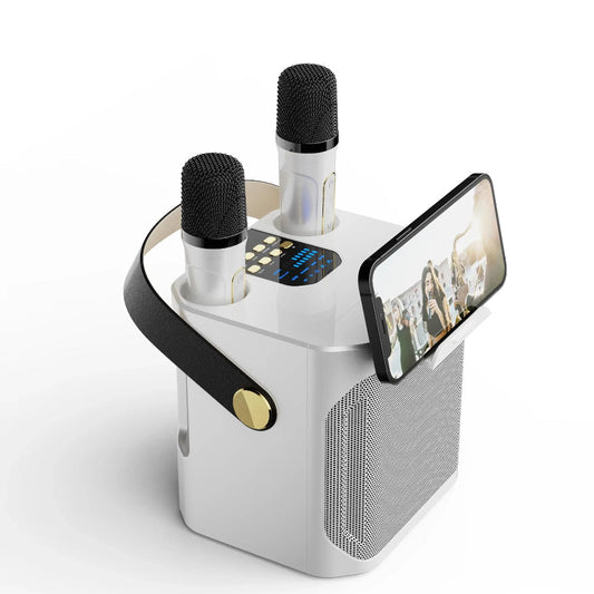 Draagbaar karaoke-luidsprekersysteem met 360° geluid en twee draadloze microfoons – ideaal voor feesten binnen en buiten