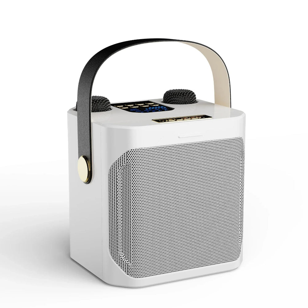 Draagbaar karaoke-luidsprekersysteem met 360° geluid en twee draadloze microfoons – ideaal voor feesten binnen en buiten