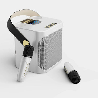 Draagbaar karaoke-luidsprekersysteem met 360° geluid en twee draadloze microfoons – ideaal voor feesten binnen en buiten