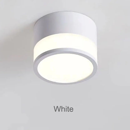 Elyran - Nordic LED Opbouw Downlight Dimbaar