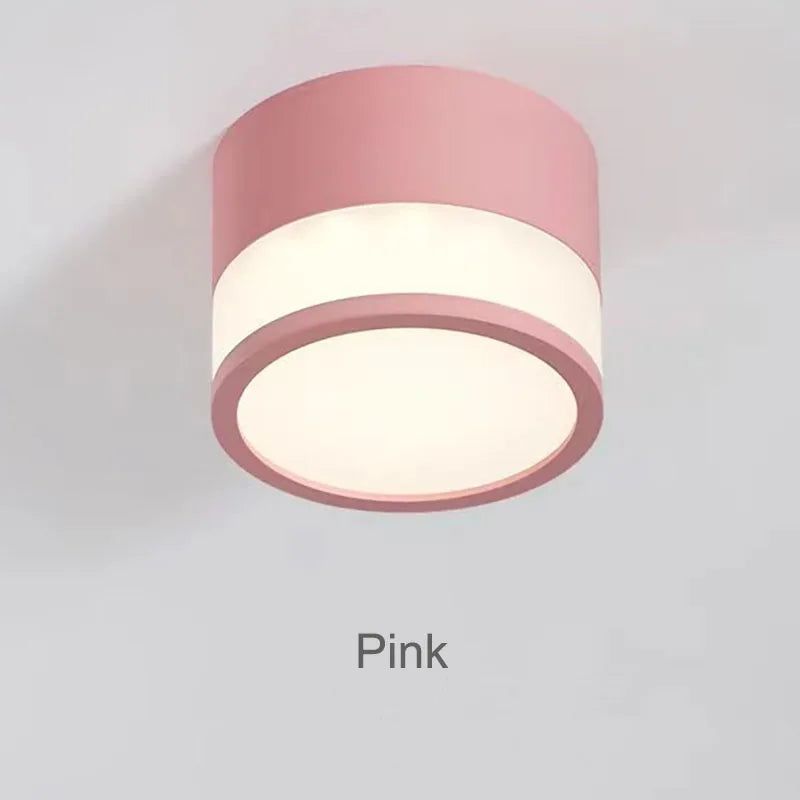 Elyran - Nordic LED Opbouw Downlight Dimbaar