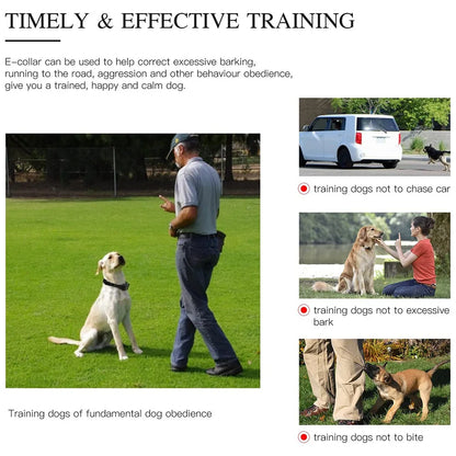 Luxora Rechargeable Waterproof Dog Training Collar with Remote, Multi-Mode Shock, Vibration