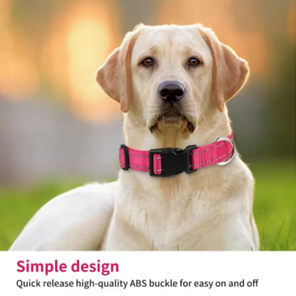 PawsProtect Reflective Adjustable Pet Collar