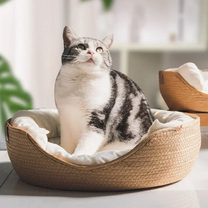 CloudBed - Eco-Friendly Woven Dog Bed Sofa – Breathable Bamboo Style Pet House for Indoor Dogs & Small Pets