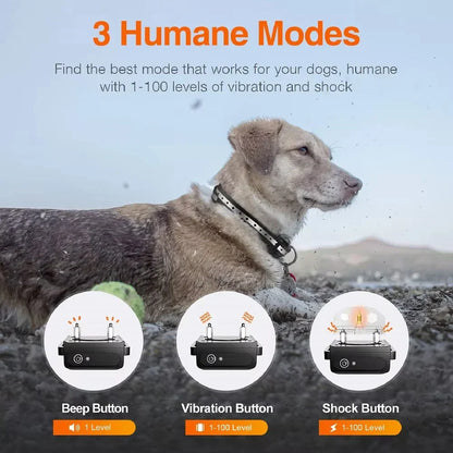 Oplaadbare Elektrische Hondentrainingshalsband met Afstandsbediening & 1000m Bereik – PetControl