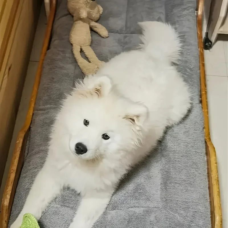 The CloudBed XL – Extra Large Dog Bed