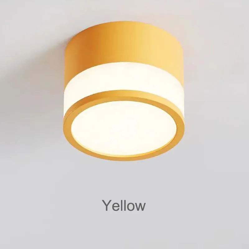 Elyran - Nordic LED Opbouw Downlight Dimbaar